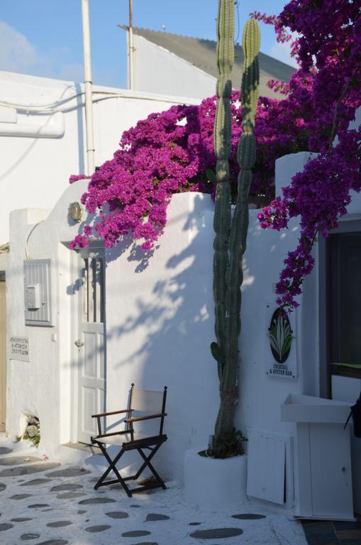 White And Grey Chora Mykonos Town Exterior foto